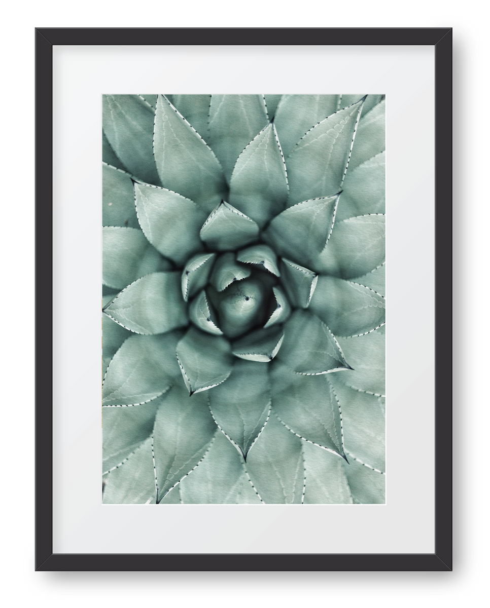 Patterns In Nature Poster Art Gallery patterns-in-nature-poster-art-gallery